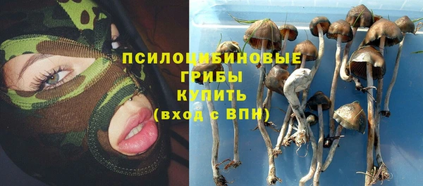 спайс Осинники