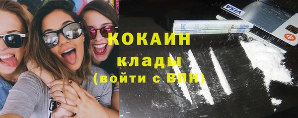 твердый Арсеньев